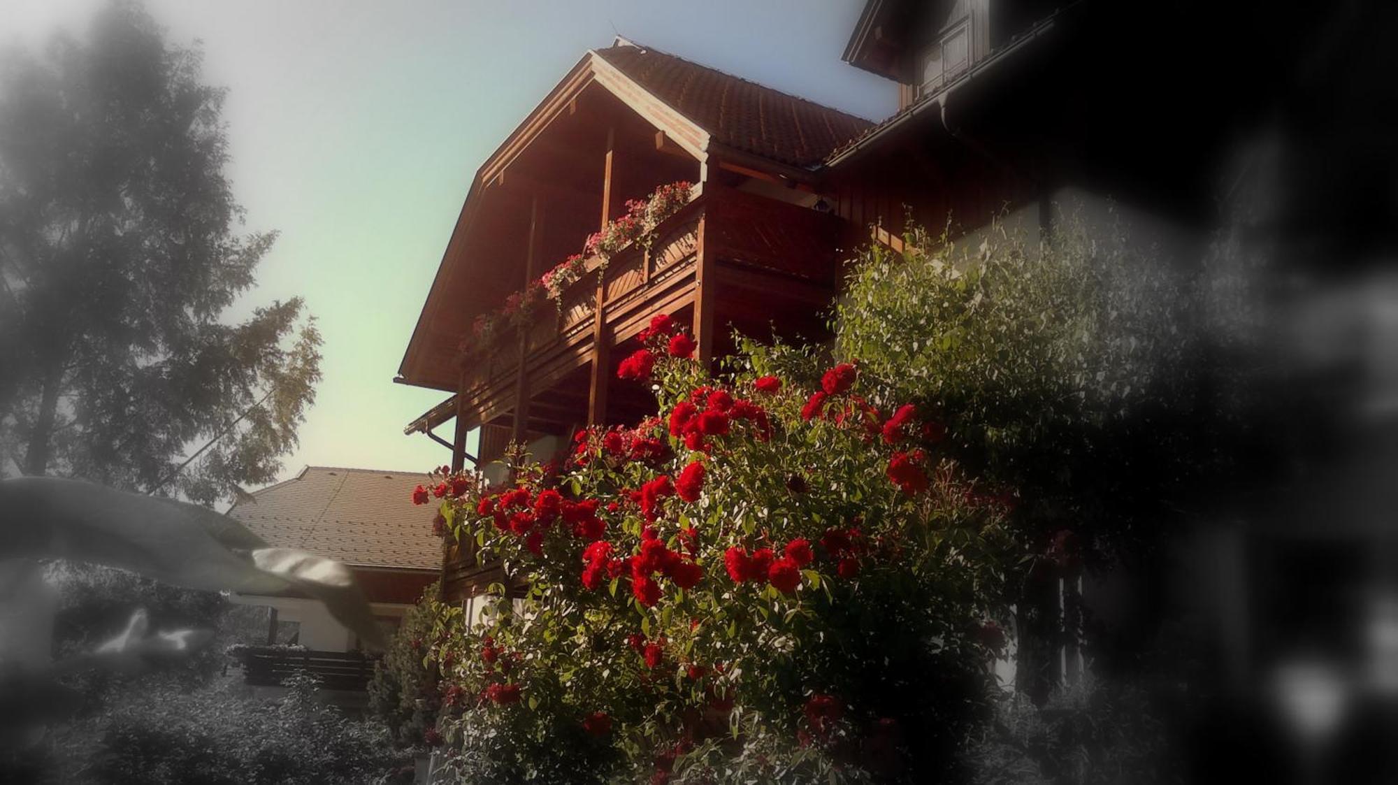 Ferienwohnungen Fischerhaus - Direkt Am See Millstatt Exterior photo