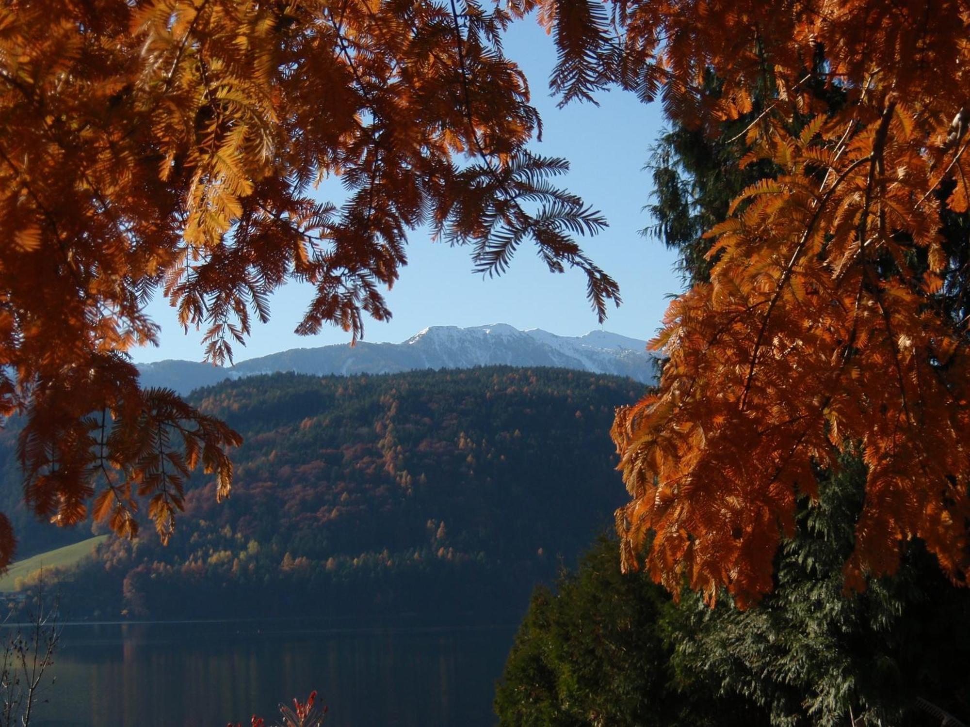 Ferienwohnungen Fischerhaus - Direkt Am See Millstatt Exterior photo